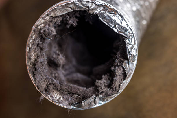 Air Duct Mold Removal in Two Rivers, WI